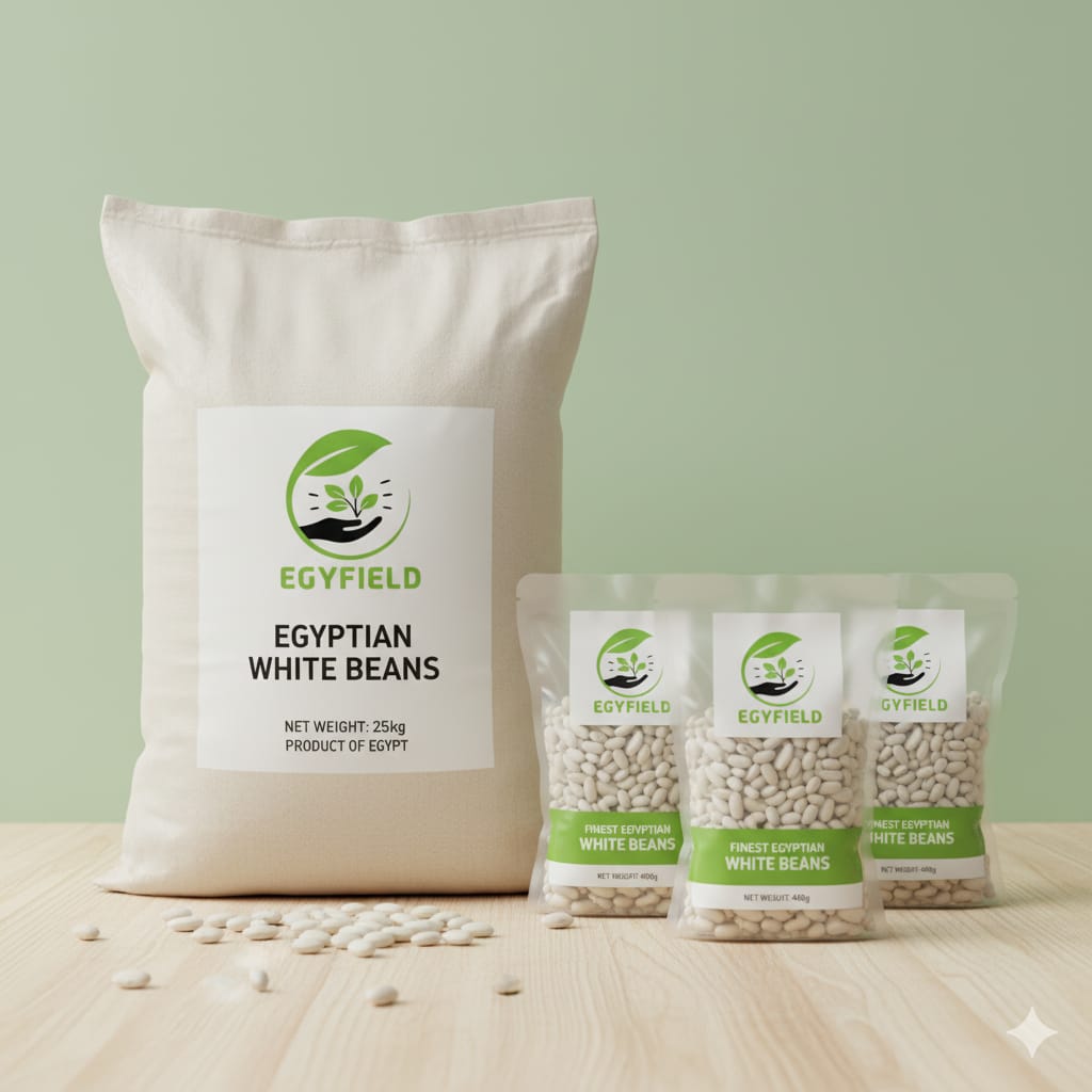 Premium Egyptian White Beans